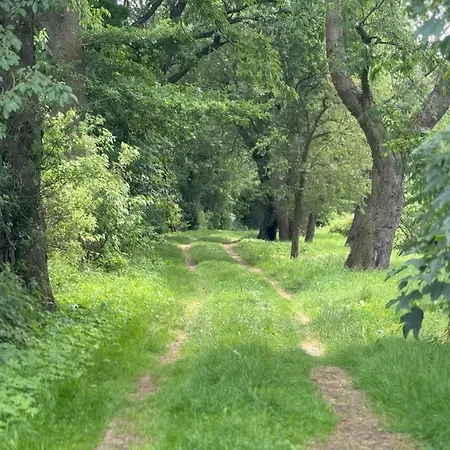 Statek Zahradka Cesky Krumlov דירה Český Krumlov
